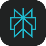 Perplexity AI
